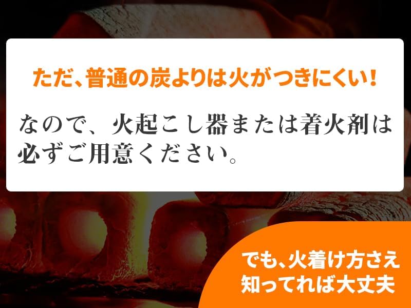 （自社倉庫引取限定価格）竹オガ備長炭 YOYOSTAR 10kg BBQ用 キャンプ用 木炭 オガ炭